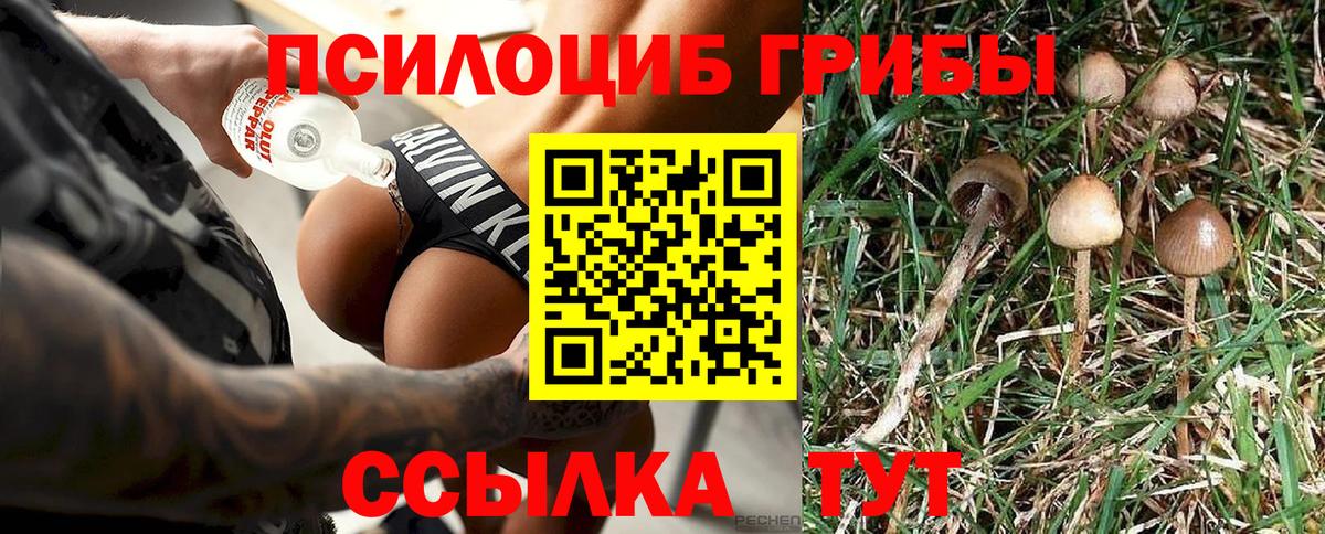 Галлюциногенные грибы MAGIC MUSHROOMS  Вход с VPN  Черкесск  Галлюциногенные грибы ЛСД 