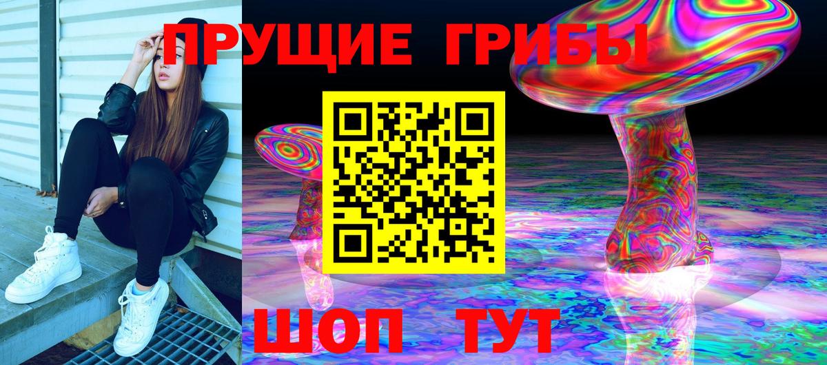 Псилоцибиновые грибы GOLDEN TEACHER Черкесск